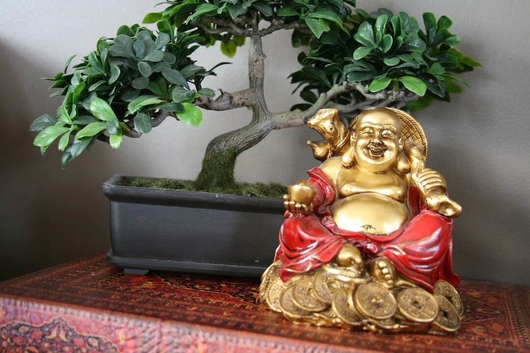Financial well-being will be ensured by Hotei Murti